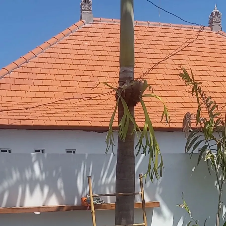 Aditya Furniture Bali 1