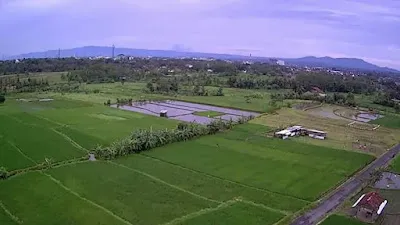 Aditya Furniture Bali 3