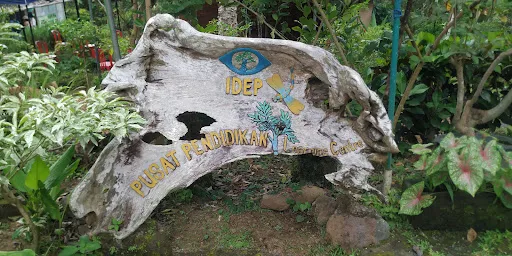 IDEP Foundation 4