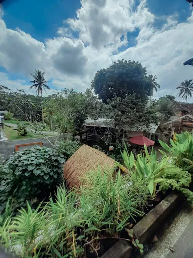 BaliManggis Herbal Healing House (Probiotic) 3