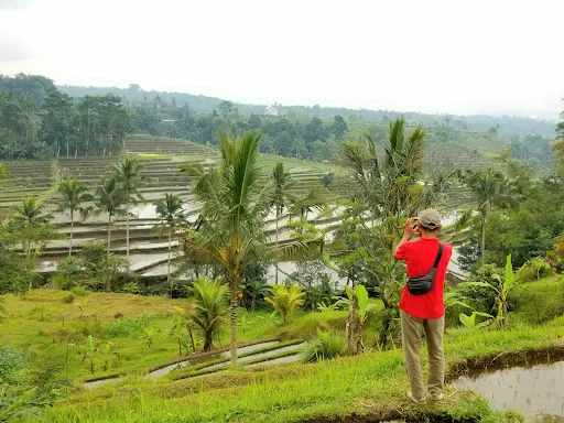 MEDY UBUD TAXI & TOUR 2