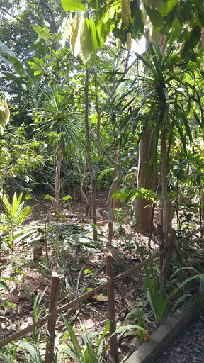 Tempat Tinggal 1