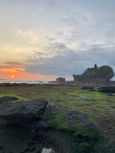 Bali Puja Tour - Private Tour 4