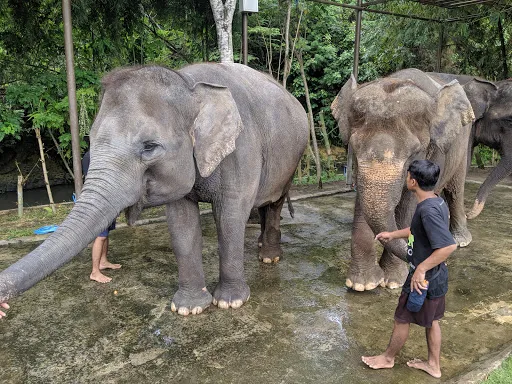 Bali Zoo Jungle Splash Waterplay 2