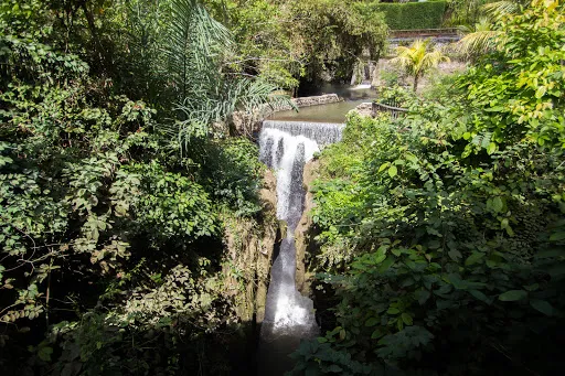 The Sanctoo Spa & Wellness 4