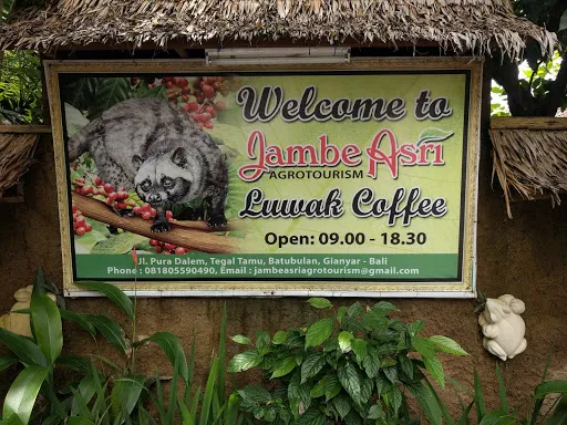 Jambe Asri Agrotourism 4