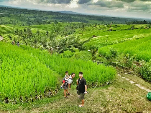 Bali Exciting Tour 4