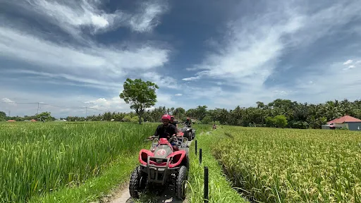 Bali Distinction Tours 3