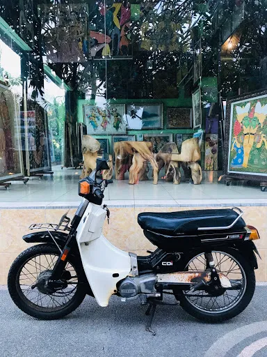 Narayana Gallery 2