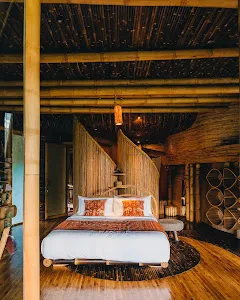 Sharma Springs House Green Village 3