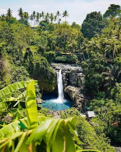 Bali Experienced Driver I Tour and Transport Ubud 3