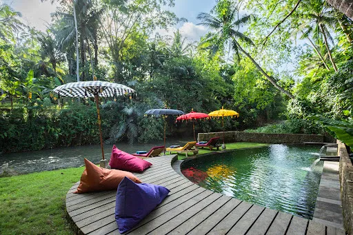 Bamboo Turtle Ecolodge 2