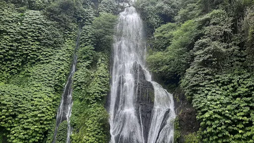 Travel Point Bali 1