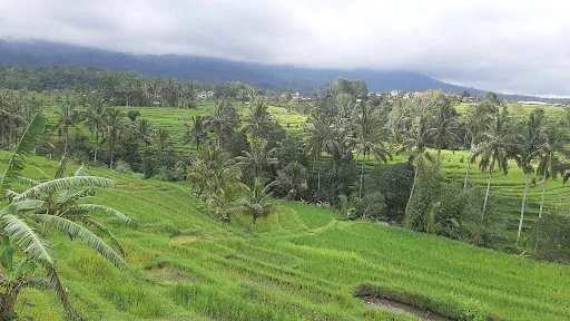 Travel Point Bali 3