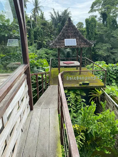 BaleBengong 1