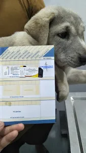 Mega Jaya Pet Shop 1