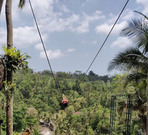 SM Bali Tour and Travel 1