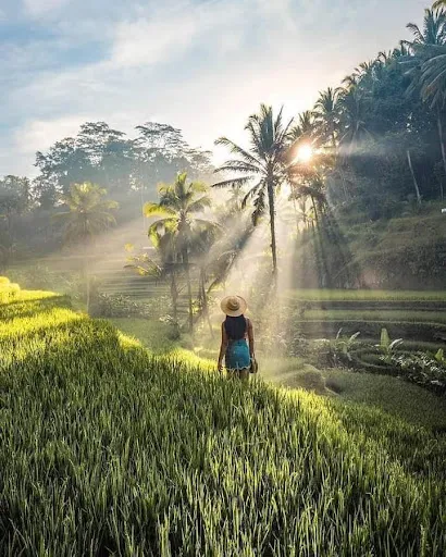 Azura bali holiday 2