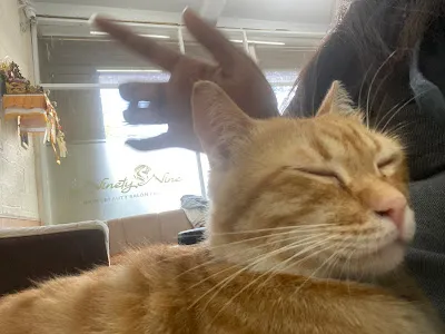 Ninety Nine Salon & Bridal Bali 3