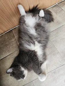 Ninety Nine Salon & Bridal Bali 4