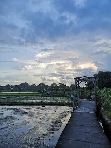 Wisata Edukasi Subak Teba Majalangu 2