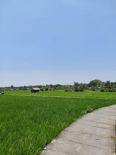 Wisata Edukasi Subak Teba Majalangu 3