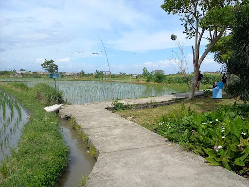 Wisata Edukasi Subak Teba Majalangu 4