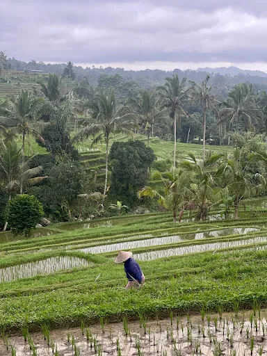 Bali Tour Guide Agung 3