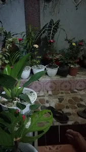 Singapadu Foto Adat Bali 2