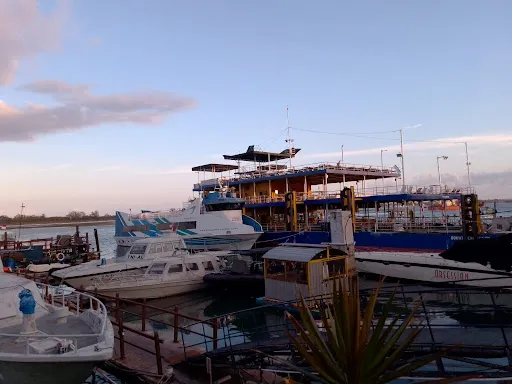 Easy Bali Transport 4