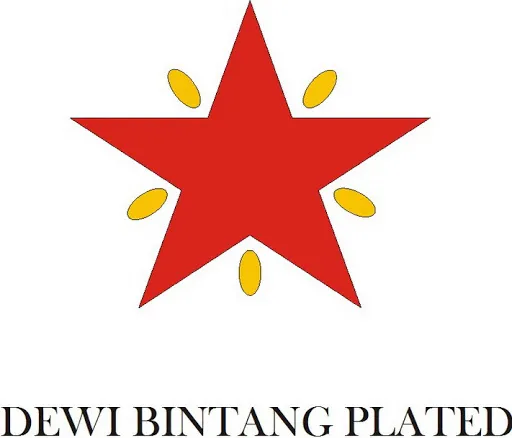 Dewi Bintang (Gold & Silver Plated) 4