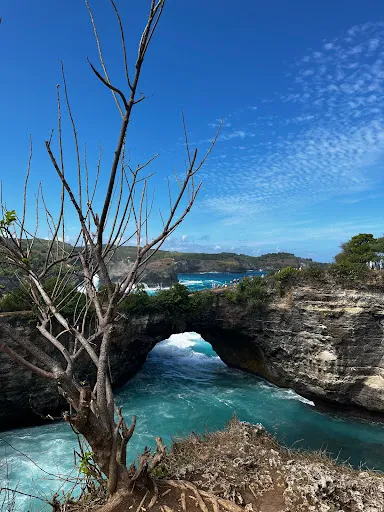 Nice Tour Bali (Nirwana Ceria Wisata Bali. PT) 2