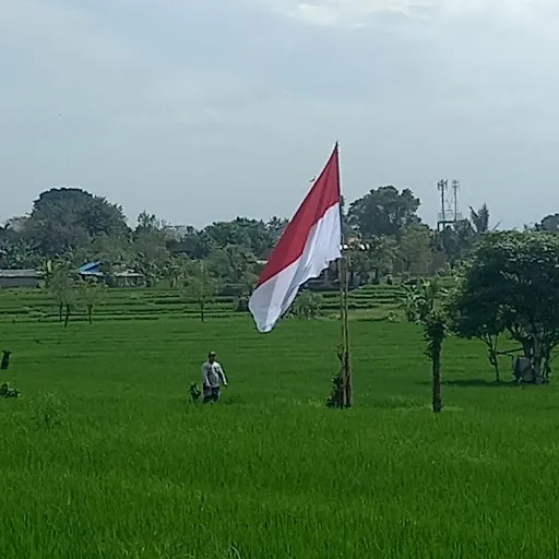 Uma.palak.(parkir.2) 2