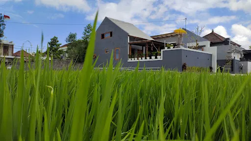 Nonstop Learning Bali English Course (Cab. Gianyar) 2