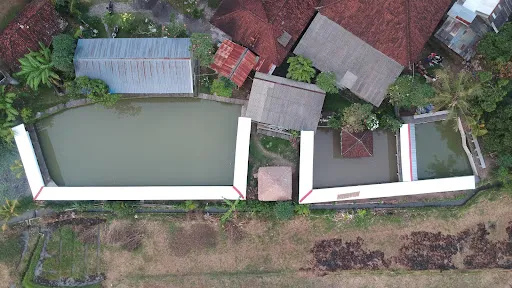 Kolam pancing tepi sawah 1