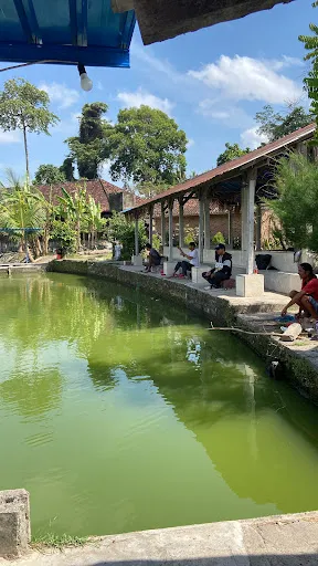 Kolam pancing tepi sawah 2