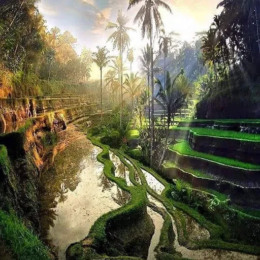 Adventure Bali Travel 3