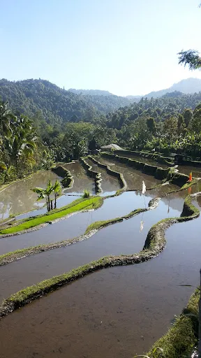 Bali Guide Francophone (Nyoman Patra) 2