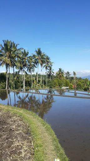 Bali Guide Francophone (Nyoman Patra) 4