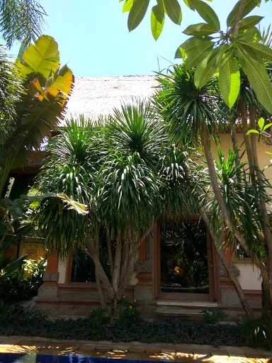 Villa Asih 3