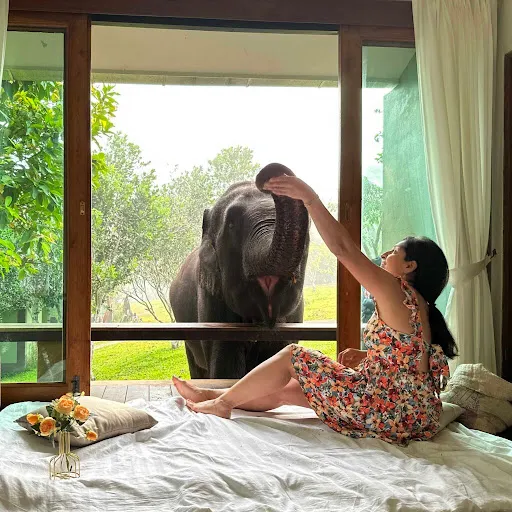 Breakfast with orangUtan & Elephant Ride 1