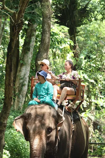 Breakfast with orangUtan & Elephant Ride 3
