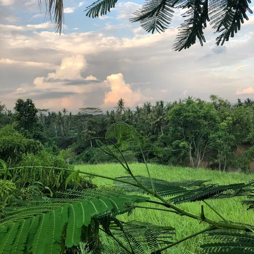 Sua Bali 3