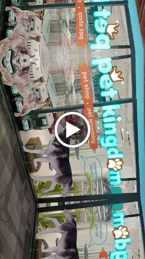 Pet Kingdom Living World Denpasar 1