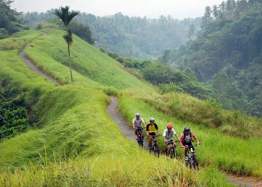 Bali Destination