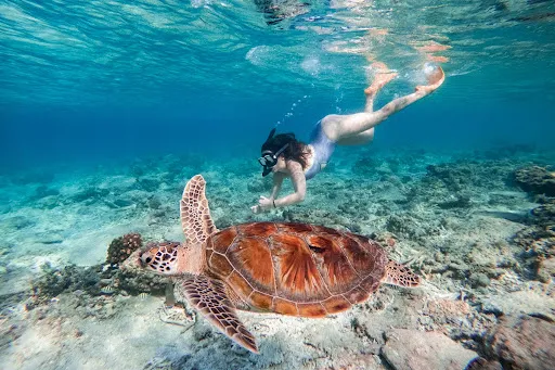 Bali-Gili Fastboat 3