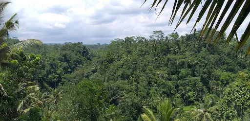 Bali Fascination Tour 1