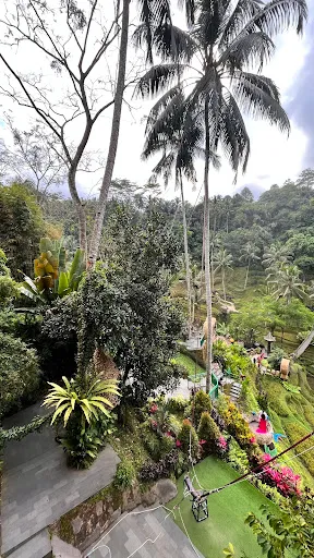 Bali Fascination Tour 3