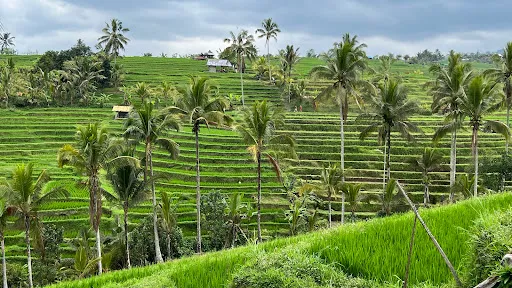 Bezienswaardigheden Bali 3