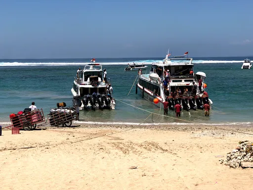 Scoot Fast Cruises 2